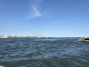 White Marlin 304A 1 Br condo by RedAwning, фото 3 White Marlin 304A 1 Br condo by RedAwning, фото 3