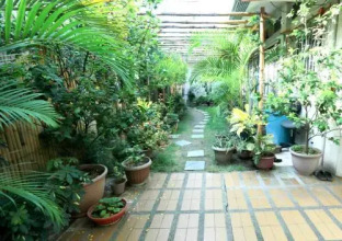 Guesthouse Storyshare Guadalupe, фото 31 Guesthouse Storyshare Guadalupe, фото 31