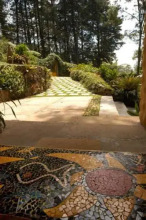 Bromélia Sabiá & Cia, фото 26 Bromélia Sabiá & Cia, фото 26