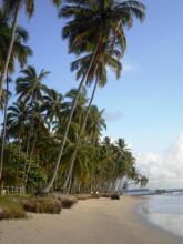 Flat Carneiros Beach Resort, фото 40