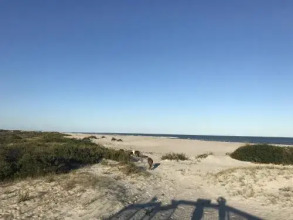 Wight Bay 460, фото 11 Wight Bay 460, фото 11