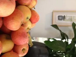 Hotel El Paso, фото 7