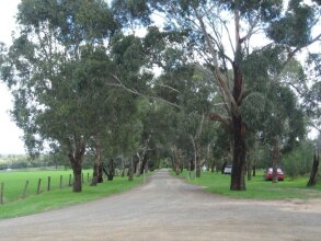 Bloomsbury Cottage, фото 9 Bloomsbury Cottage, фото 9