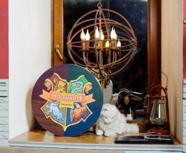 Hogwarts Hostel, фото 20 Hogwarts Hostel, фото 20