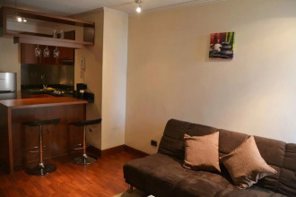 Studio Suite Manquehue, фото 7 Studio Suite Manquehue, фото 7