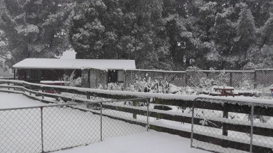 Height Of Dunedin, фото 18 Height Of Dunedin, фото 18