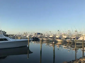 Wight Bay 460, фото 5 Wight Bay 460, фото 5