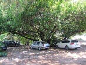 Baris Pension And Bungalows, фото 35