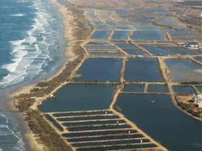 Villa Rouge Rooms, фото 11