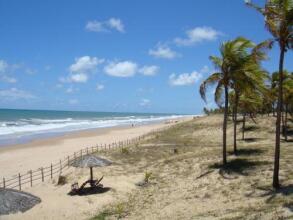Hotel Coco Beach, фото 37 Hotel Coco Beach, фото 37