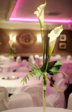 The Coachman Hotel, фото 6 The Coachman Hotel, фото 6