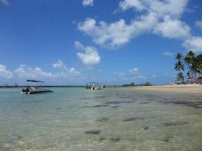 Flat Do Golfinho, фото 16