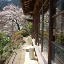 Matsuno Onsen Suikoen, фото 5