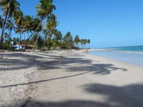 Casa Praia Dos Carneiros, фото 16