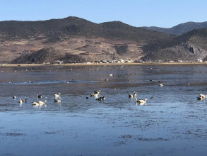 Shangri La Salloi Rustic Luxury Hotel, фото 40