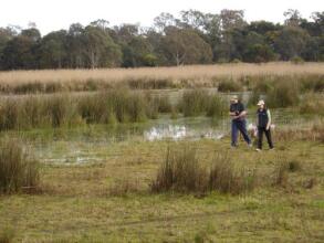 Frog Gully Cottages, фото 5