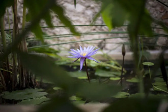 Koox Art 57, фото 29 Koox Art 57, фото 29