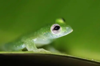 Hotel Margarita, фото 40 Hotel Margarita, фото 40