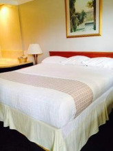 Hamilton Inn Motel, фото 4