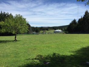 Height Of Dunedin, фото 5 Height Of Dunedin, фото 5