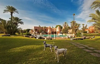 Palais Mehdi, фото 12 Palais Mehdi, фото 12