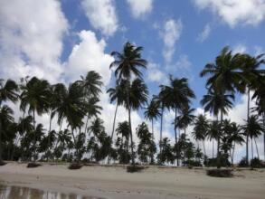 Flat Do Golfinho, фото 11