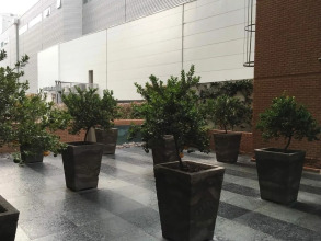 Studio Suite Manquehue, фото 10 Studio Suite Manquehue, фото 10