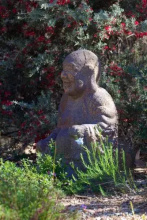 Holistic Haven, фото 9