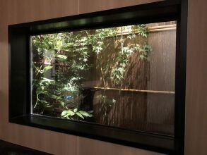 KAMO-ZEN, фото 3