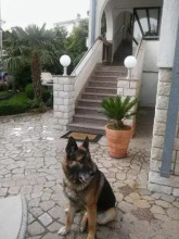 Garfild Guest house, фото 30