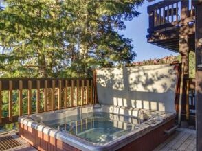 Ridgepoint Apartment, фото 11 Ridgepoint Apartment, фото 11