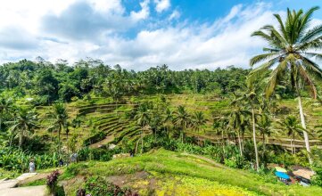 Bali Jungle Huts, фото 45