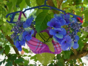 Armandos Wellness Resort, фото 14