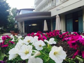 Terme Internazionale, фото 37