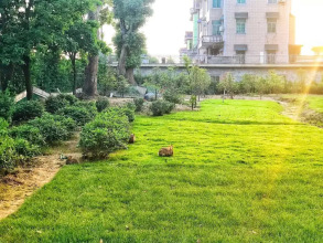 S·dor Hotel Hangzhou Xiaoshan Airport, фото 7 S·dor Hotel Hangzhou Xiaoshan Airport, фото 7