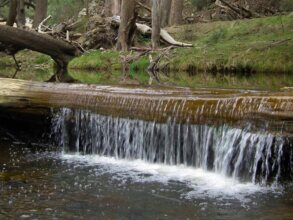 Highlands Motor Inn, фото 20