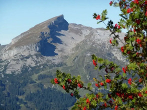 Riezler Hof, фото 10