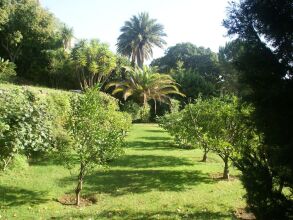 Elegant 18th Century Villa in Cannes With Private Pool and Seaview, фото 2