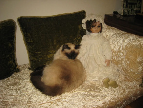 Riad Noos Noos, фото 36 Riad Noos Noos, фото 36