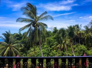 Samui Green Palm Resort, фото 11