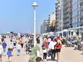 Modern Apartment With a Dishwasher at 3 km. From Nieuwpoort