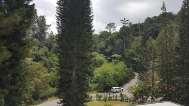 Shahzan Inn, фото 10 Shahzan Inn, фото 10