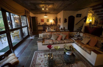 Bromélia Sabiá & Cia, фото 9 Bromélia Sabiá & Cia, фото 9