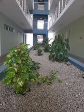 New Kingston Luxury Apt The Bromptons, фото 4 New Kingston Luxury Apt The Bromptons, фото 4