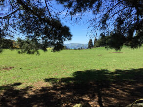 Height Of Dunedin, фото 20 Height Of Dunedin, фото 20