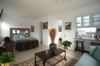 Kingsway New Kingston Guest Apartment Ii, фото 20 Kingsway New Kingston Guest Apartment Ii, фото 20