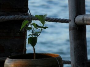 Haven Vietnam, фото 14 Haven Vietnam, фото 14