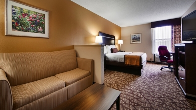 Best Western Plus Belle Meade Inn & Suites, фото 4