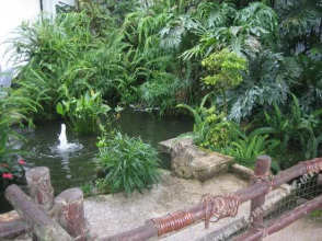 Shahzan Inn, фото 43 Shahzan Inn, фото 43