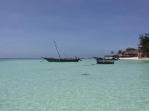 Langi Langi Beach Bungalows, фото 37 Langi Langi Beach Bungalows, фото 37